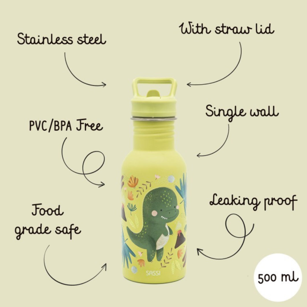 Stainless steel water bottle 500ml (Dinosaur)