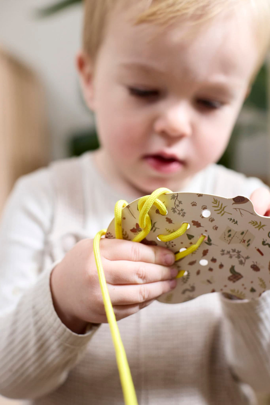 Learn to stitch set