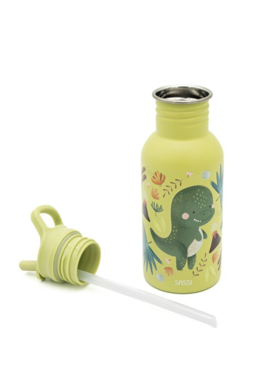 Stainless steel water bottle 500ml (Dinosaur)